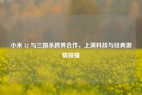 小米 12 与三国杀跨界合作,上演科技与经典激情碰撞 小米 12 与三国杀跨界合作,上演科技与经典激情碰撞