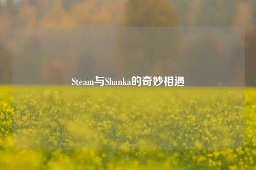 Steam与Shanka的奇妙相遇 Steam与Shanka的奇妙相遇