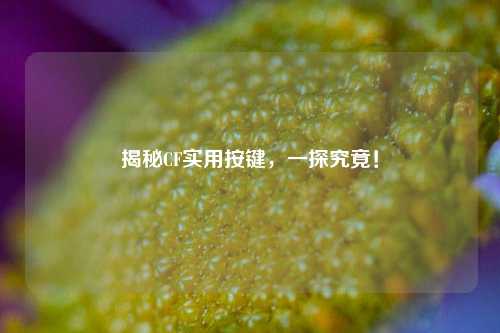 揭秘CF实用按键,一探究竟! 揭秘CF实用按键,一探究竟!