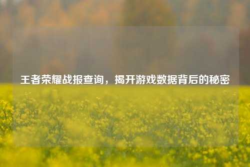 王者荣耀战报查询,揭开游戏数据背后的秘密 王者荣耀战报查询,揭开游戏数据背后的秘密