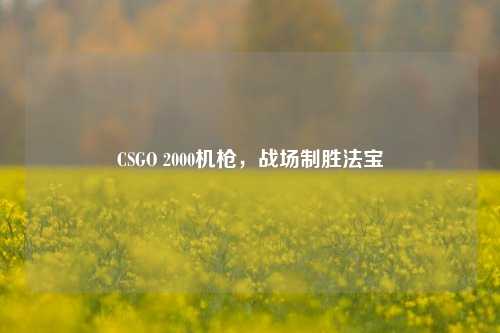 CSGO 2000机枪,战场制胜法宝 CSGO 2000机枪,战场制胜法宝