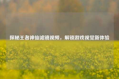 探秘王者神仙滤镜视频，解锁游戏视觉新体验