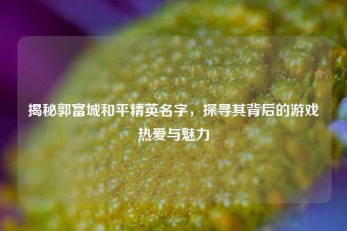 揭秘郭富城和平精英名字，探寻其背后的游戏热爱与魅力