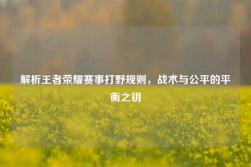 解析王者荣耀赛事打野规则，战术与公平的平衡之钥