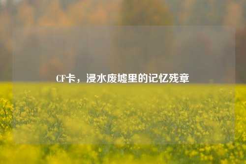 CF卡，浸水废墟里的记忆残章