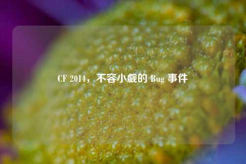 CF 2014，不容小觑的 Bug 事件