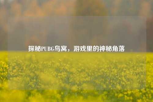 探秘PUBG鸟窝，游戏里的神秘角落