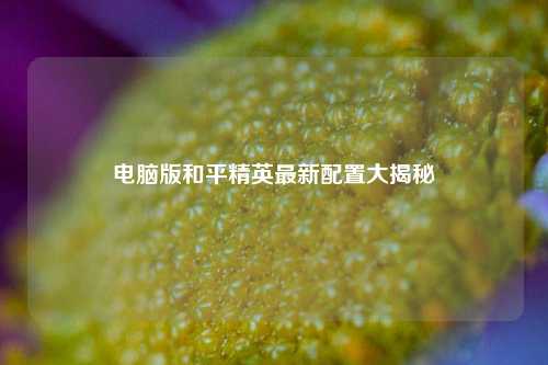 电脑版和平精英最新配置大揭秘