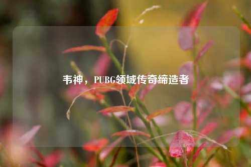 韦神，PUBG领域传奇缔造者