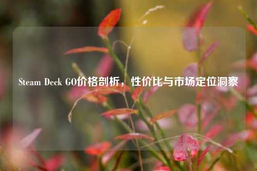 Steam Deck GO价格剖析，性价比与市场定位洞察