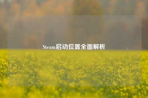 Steam启动位置全面解析