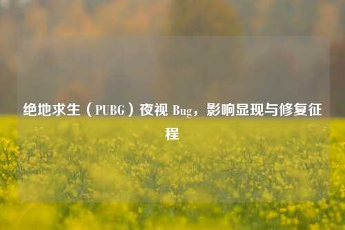 绝地求生（PUBG）夜视 Bug，影响显现与修复征程