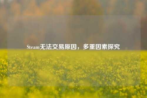 Steam无法交易原因，多重因素探究
