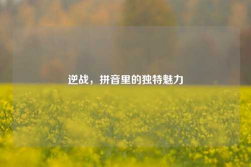 逆战，拼音里的独特魅力