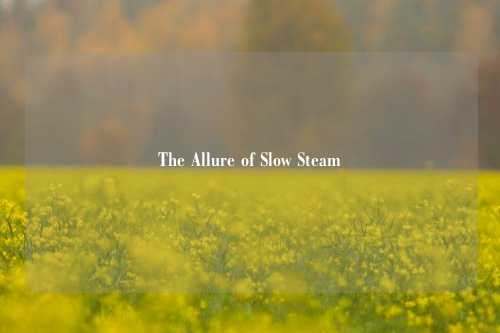 The Allure of Slow Steam