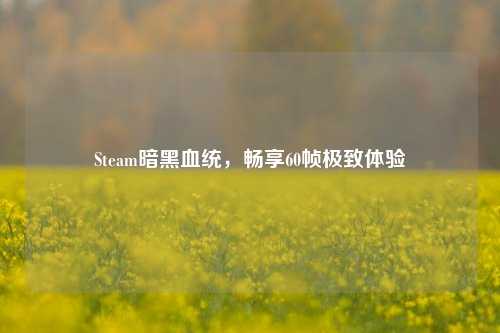 Steam暗黑血统，畅享60帧极致体验
