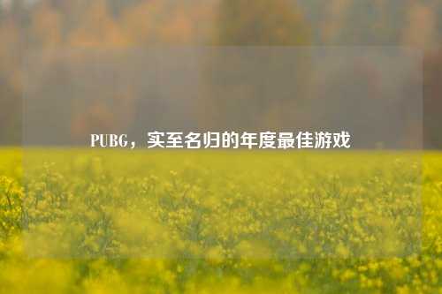 PUBG，实至名归的年度最佳游戏