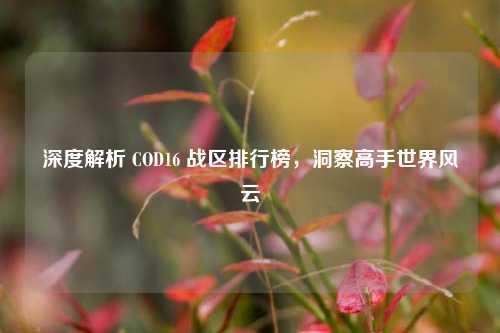 深度解析 COD16 战区排行榜,洞察高手世界风云
