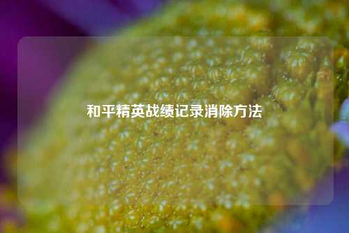 和平精英战绩记录消除方法
