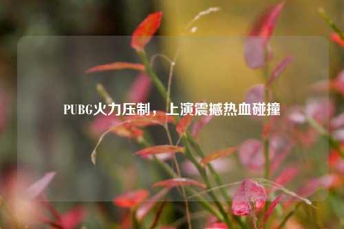 PUBG火力压制，上演震撼热血碰撞