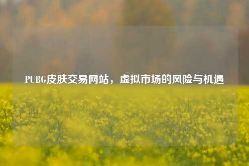 PUBG皮肤交易网站，虚拟市场的风险与机遇