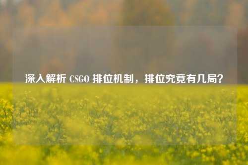 深入解析 CSGO 排位机制，排位究竟有几局？