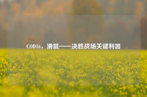 COD16，滑鼠——决胜战场关键利器