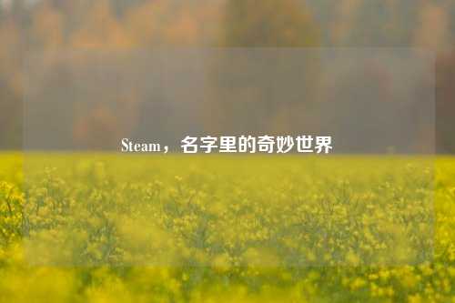 Steam，名字里的奇妙世界
