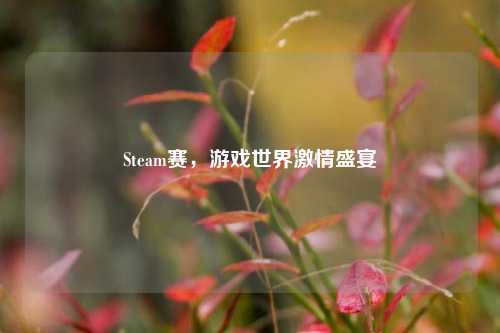 Steam赛,游戏世界激情盛宴