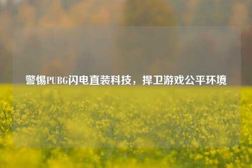 警惕PUBG闪电直装科技，捍卫游戏公平环境
