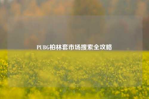 PUBG柏林套市场搜索全攻略