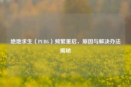 绝地求生(PUBG)频繁重启,原因与解决办法揭秘