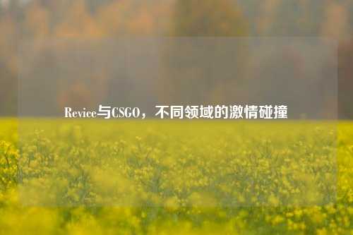 Revice与CSGO,不同领域的激情碰撞