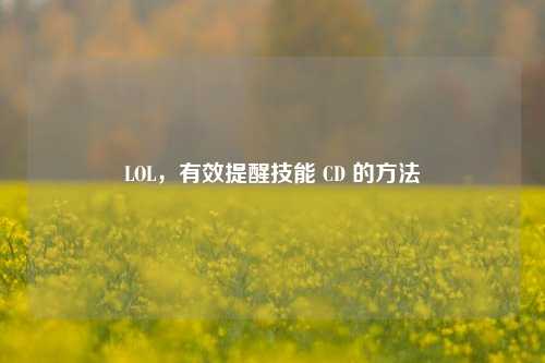 LOL,有效提醒技能 CD 的方法