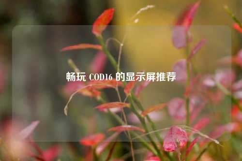 畅玩 COD16 的显示屏推荐