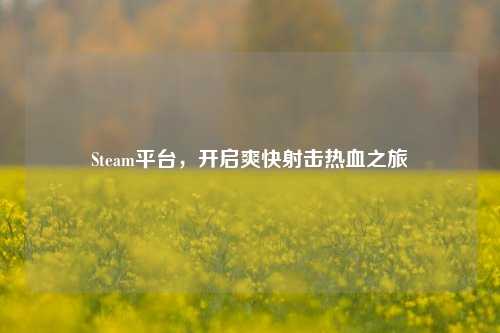 Steam平台,开启爽快射击热血之旅