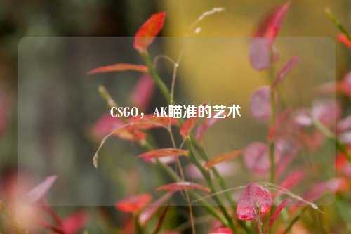 CSGO,AK瞄准的艺术