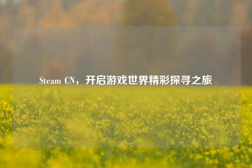 Steam CN,开启游戏世界精彩探寻之旅