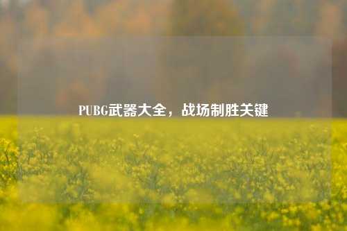 PUBG武器大全，战场制胜关键