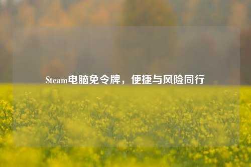 Steam电脑免令牌,便捷与风险同行