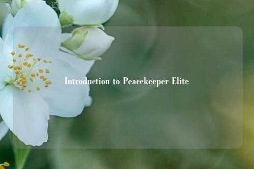 Introduction to Peacekeeper Elite