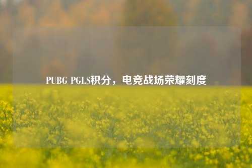 PUBG PGI.S积分，电竞战场荣耀刻度