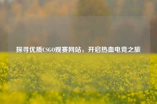 探寻优质CSGO观赛网站,开启热血电竞之旅