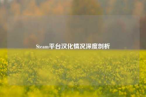 Steam平台汉化情况深度剖析