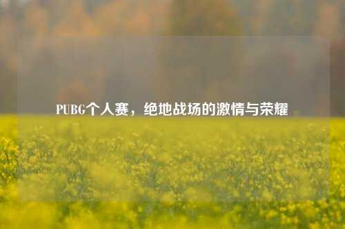PUBG个人赛，绝地战场的激情与荣耀
