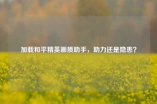 加载和平精英画质助手，助力还是隐患？