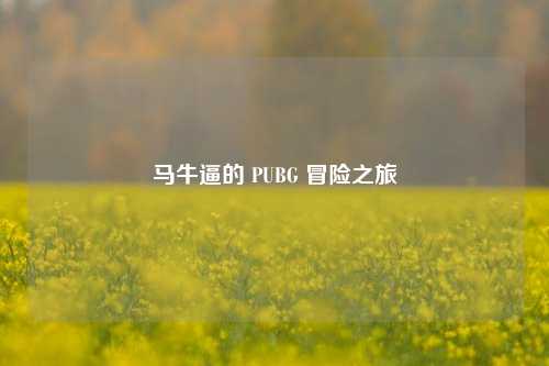 马牛逼的 PUBG 冒险之旅