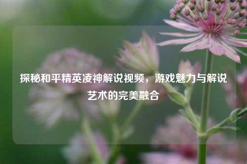 探秘和平精英凌神解说视频，游戏魅力与解说艺术的完美融合
