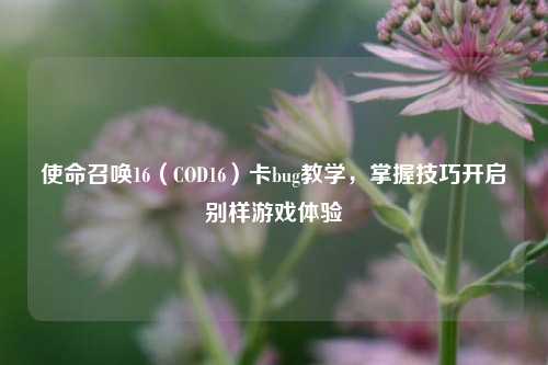 使命召唤16（COD16）卡bug教学，掌握技巧开启别样游戏体验