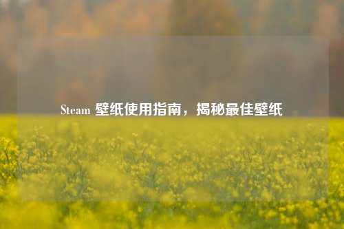 Steam 壁纸使用指南，揭秘最佳壁纸